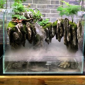 Giant Cliffs Aquatium with a lot of mist